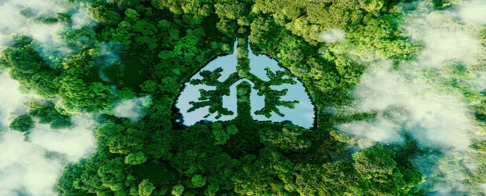 Nuova partnership tra TEA Group – AirQino e il progetto europeo MI-TRAP